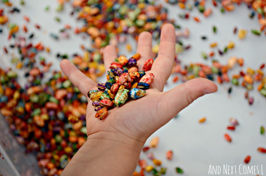 Playing with rainbow dyed puffed wheat cereal - a fun sensory play idea for toddlers & preschoolers from And Next Comes L