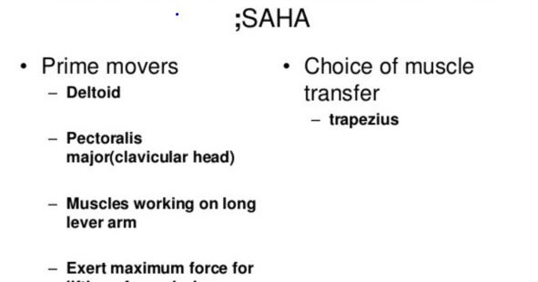 Thesis rotator picture