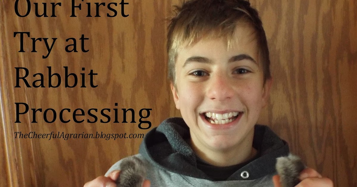 The Cheerful Agrarian Our First Try at Rabbit Processing