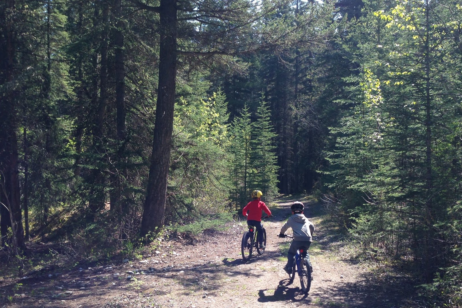 Family Adventures in the Canadian Rockies 5 Steps to Crushing Local