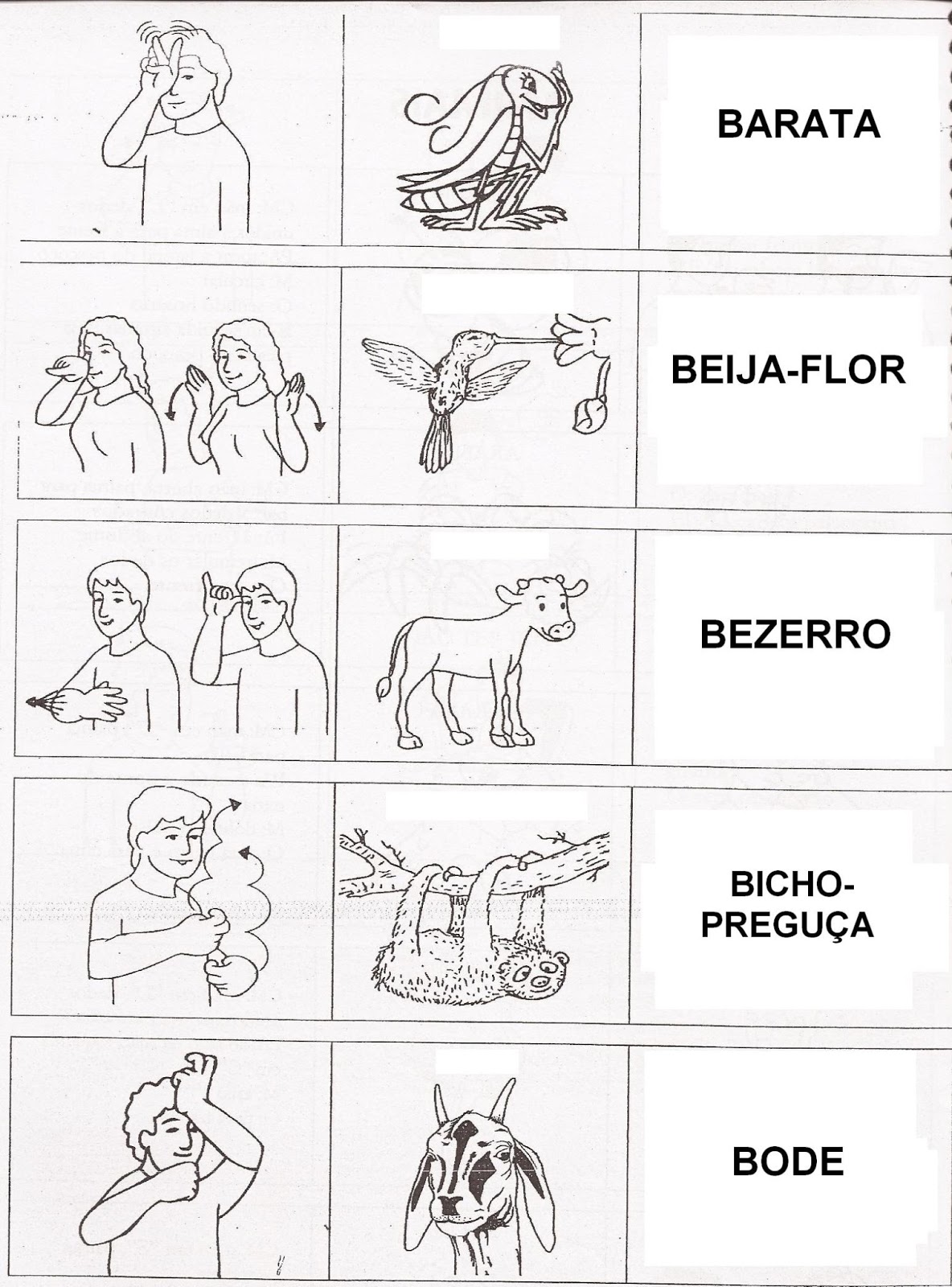 Amanda Duda, Pedagogia e Libras: Animais em libras para imprimir.