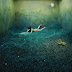 Fantásticas fotos surrealistas de Jee Young Lee