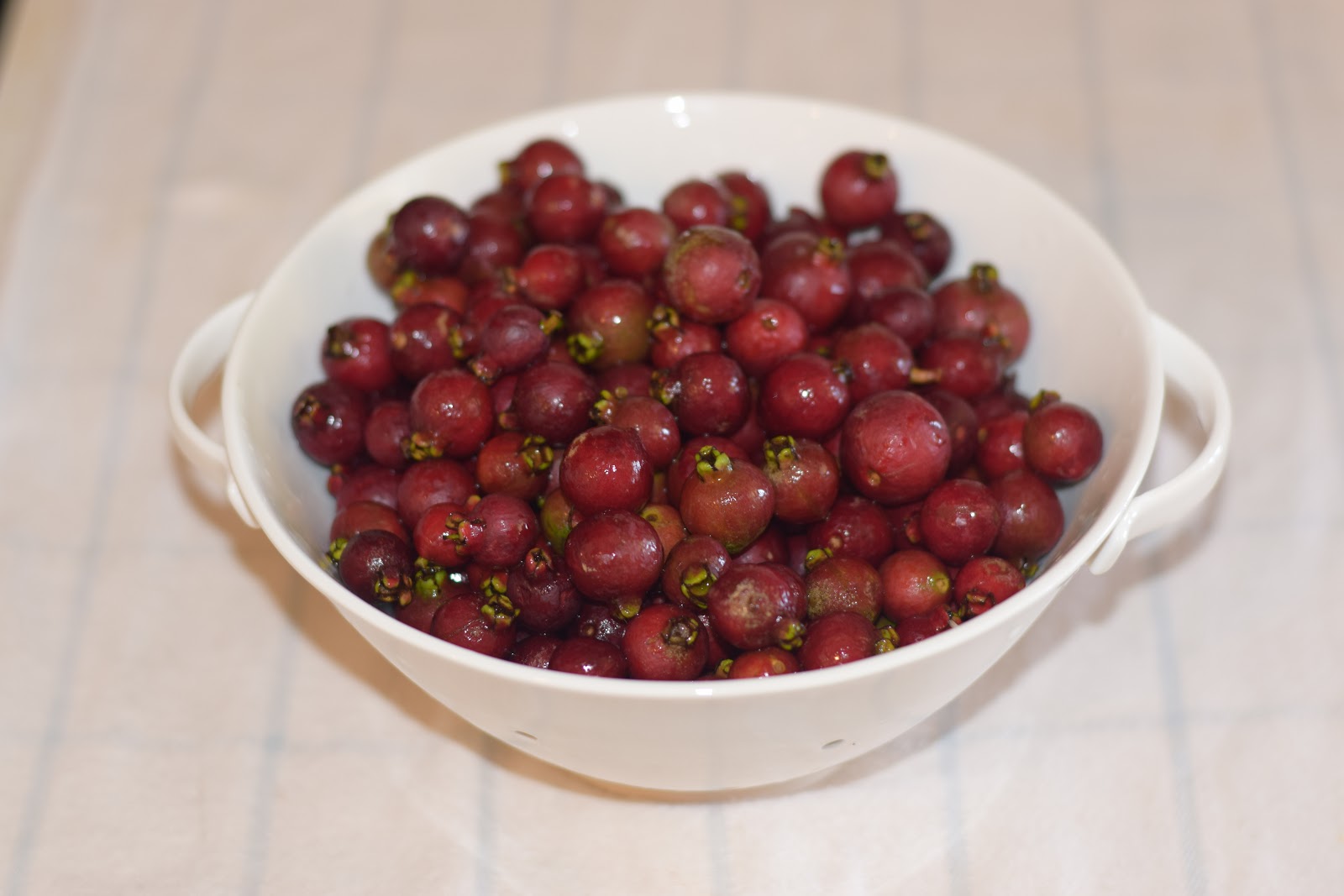 Indigo Papaya Strawberry Guava Jelly