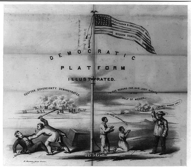 Random thoughts on history the democratic party platform illustrated