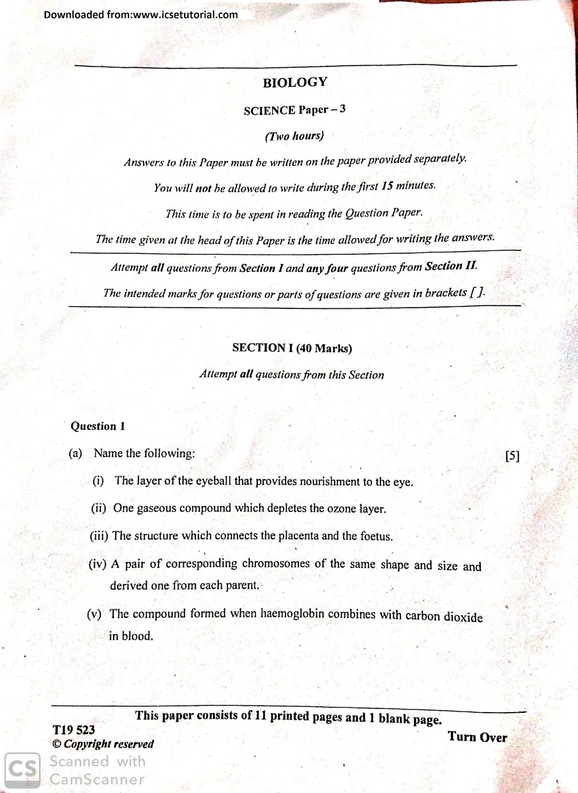 The identification of mebeverine biology essay 06 image
