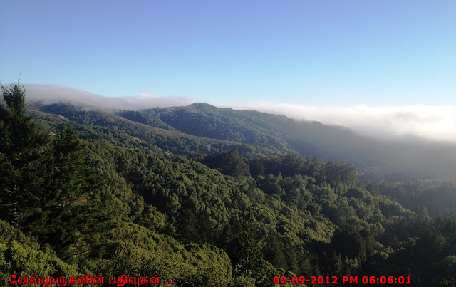 Muir Woods National Park Service 