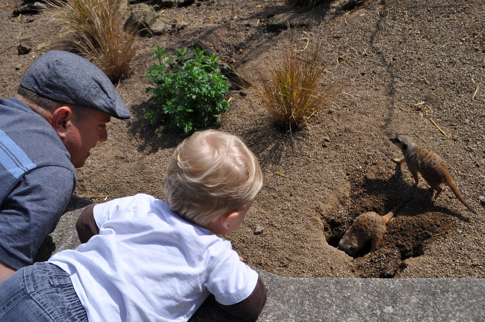 Walker Wanderlust: Edinburgh Zoo
