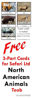 FREE 3-Part Cards for Safari Ltd North American Animals Toob from In Our Pond