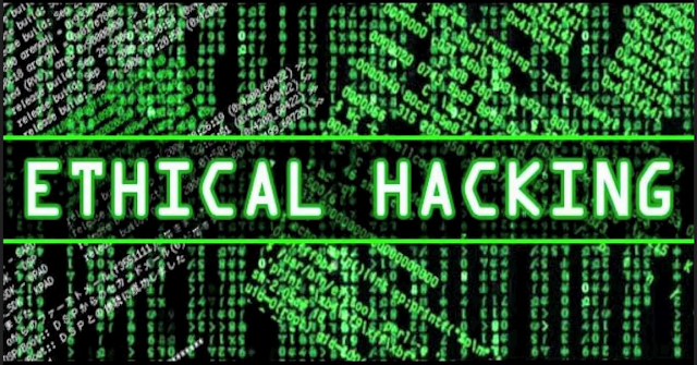 5 Buku Belajar Hacking Terbaik Untuk Menjadi Hacker