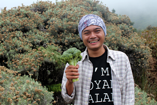 mendaki gunung papandayan