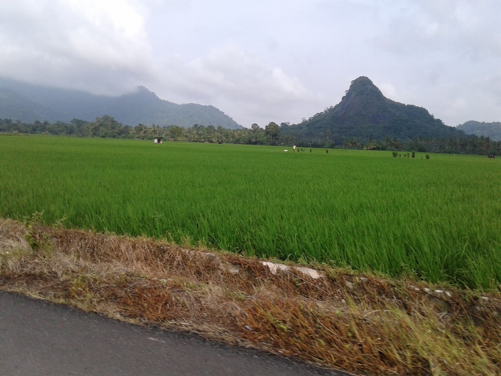 Tempat wisata di Musi rawas Tempat wisata di Musi rawas