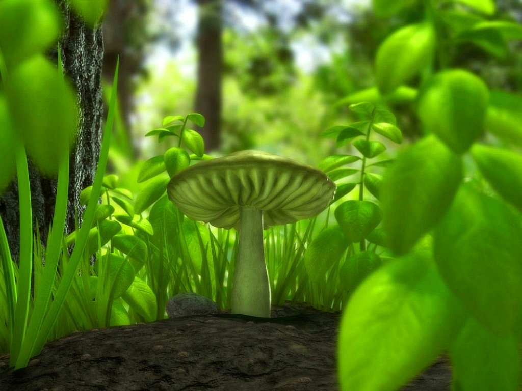 wallpapers hd desktop wallpapers free online 3d wallpapers 3d