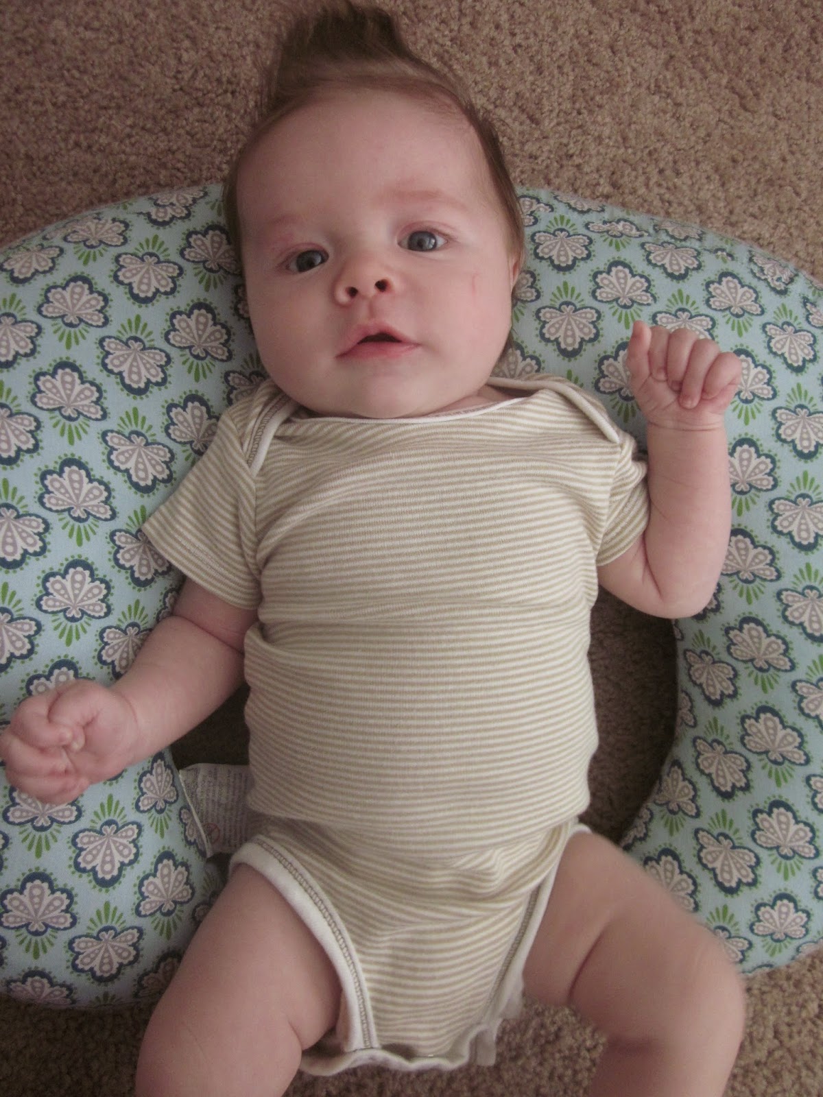 Peanut Butter & Jelly Today I am two months old