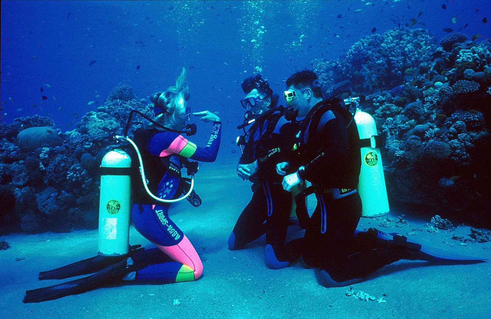an illustration of the basic aspects of scuba diving Buy scuba gear & dive gear at the best prices & largest selection with scuba gear reviews learn what dive gear is best for you to enjoy while scuba diving basic. an illustration of the basic aspects of scuba diving Buy scuba gear & dive gear at the best prices & largest selection with scuba gear reviews learn what dive gear is best for you to enjoy while scuba diving basic.