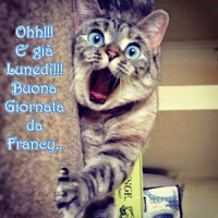 Che La Vita Continua: Buon Lunedi - bellissime e divertenti immagini