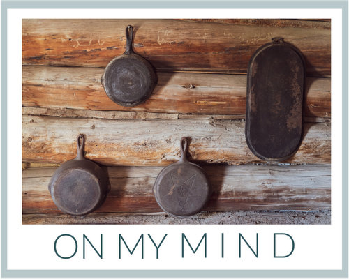 On My Mind ♥ KitchenParade.com, thinking about cast iron skillets