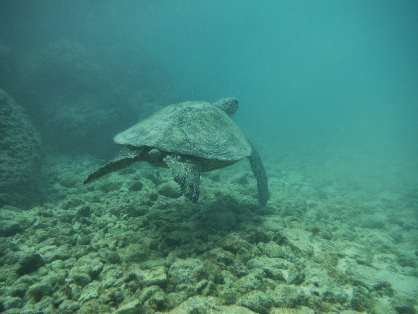 Hiking and Snorkeling on Oahu Snorkeling Ko'Olina Lagoons
