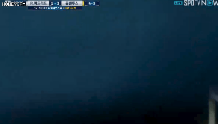17.gif