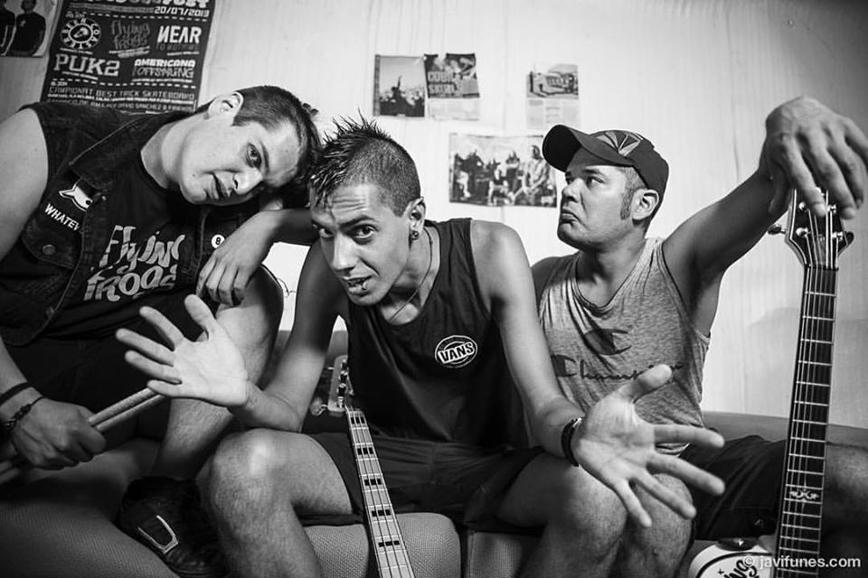 Melodic Punk Style Flying Frogs
