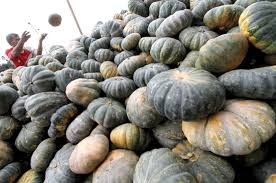 Best Of 10 Benefits of Pumpkin for Ulcer You Need to Know - Healthy T1ps Best Of 10 Benefits of Pumpkin for Ulcer You Need to Know - Healthy T1ps