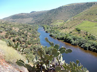 O Rio Águeda a acompanhar a antiga via férrea