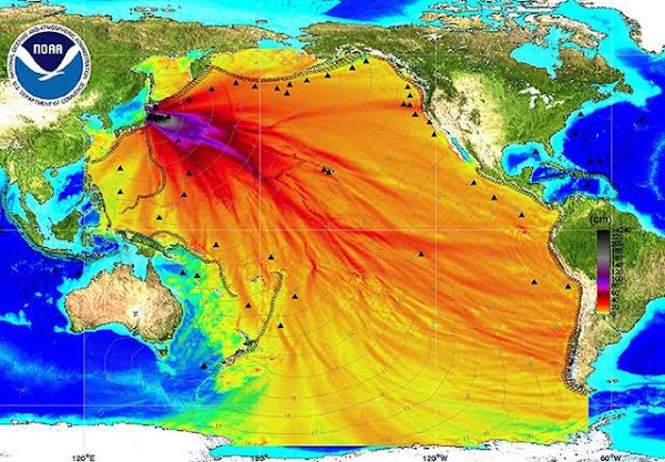 Fukushima sigue contaminando los océanos. Fukushima sigue contaminando los océanos.