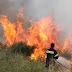  39 δασικές πυρκαγιές κατά τη διάρκεια του τελευταίου 24ώρου