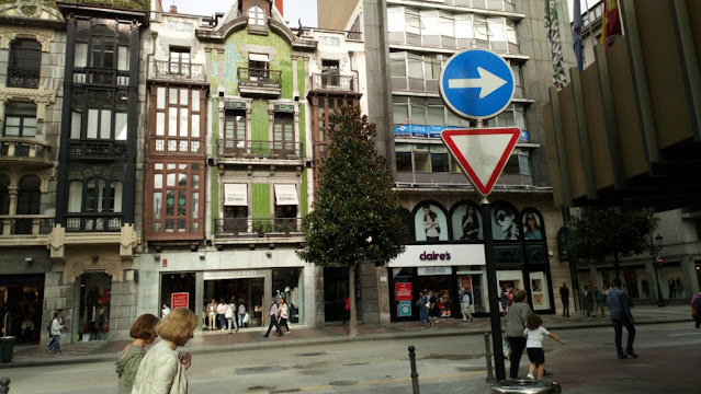 Alineación de magnolios en las calles de Oviedo.