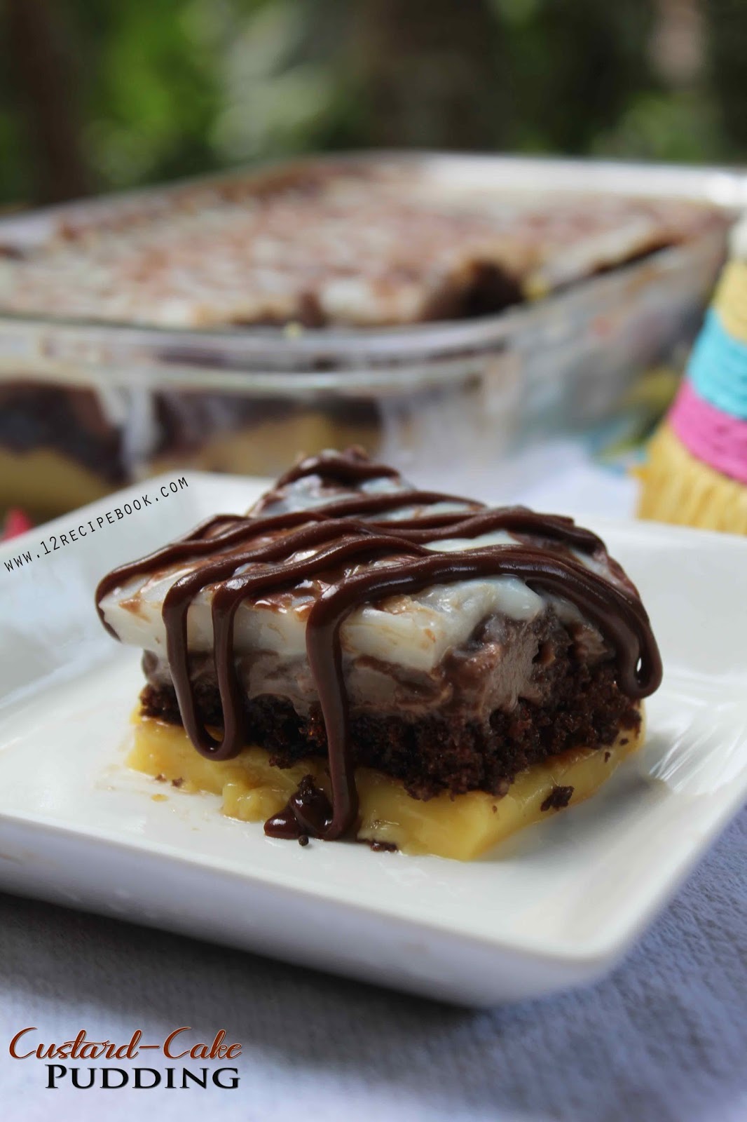 Custard Cake Pudding Recipe Book