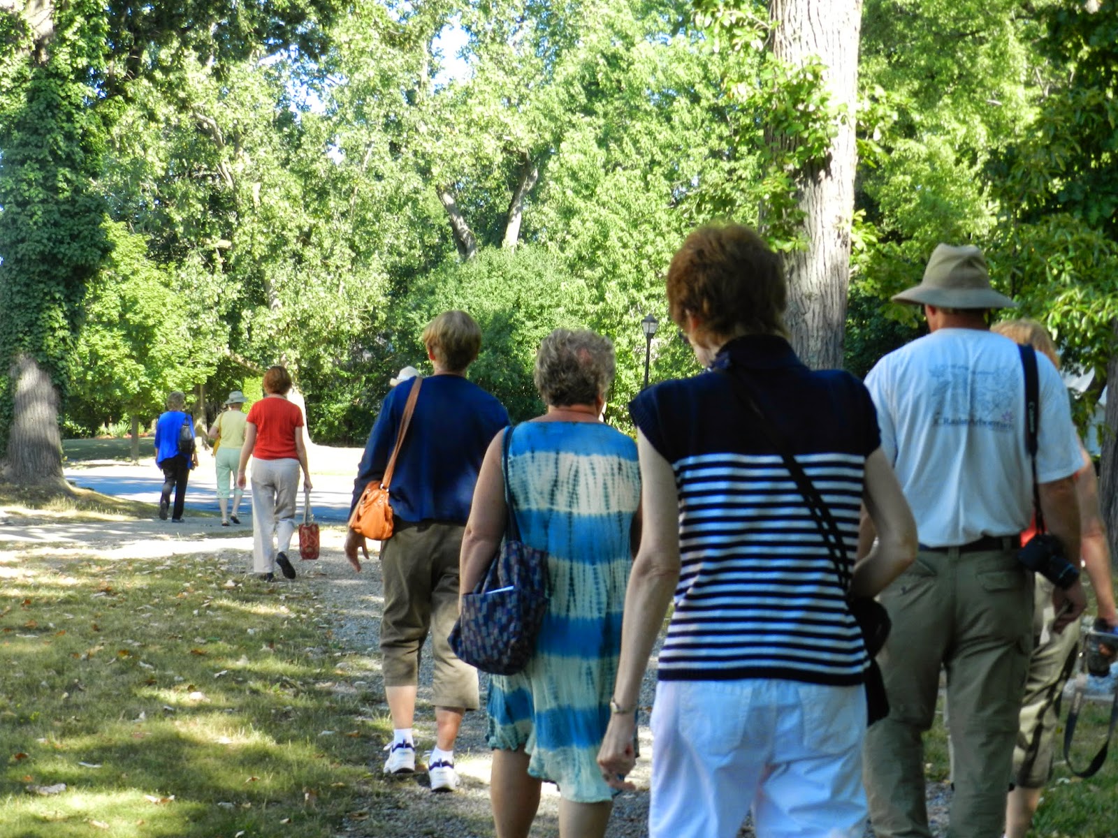 Welcome To The Japanese Garden Of Buffalo July 2014