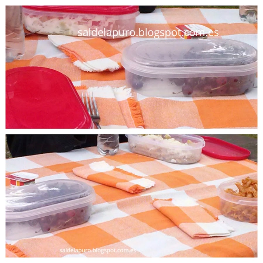 ideas-trucos-picnic