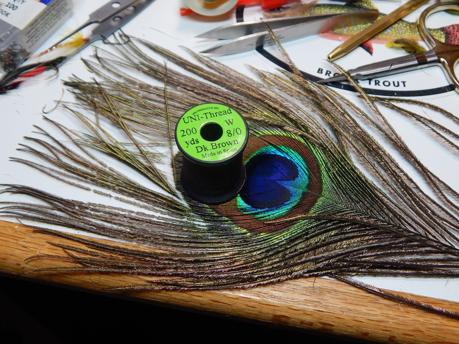 Small Stream Reflections 