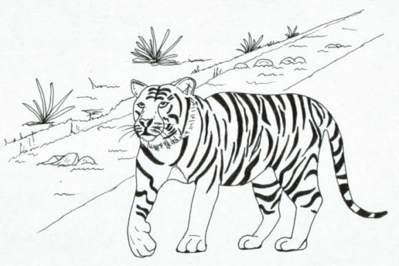 malvorlagen tiger