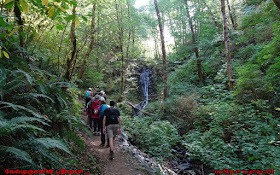 Bridge Creek Falls Trail