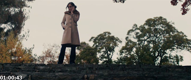 TheGirlfriendExperience.BRRip.AC3.Latino_01_00_43_00006.jpg