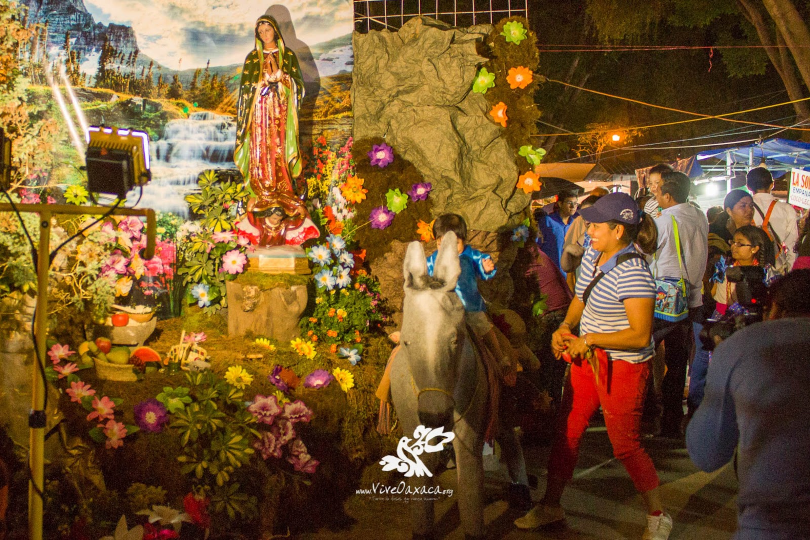 Fiesta 2016 de la Virgen de Guadalupe en Oaxaca (Galería Fotográfica