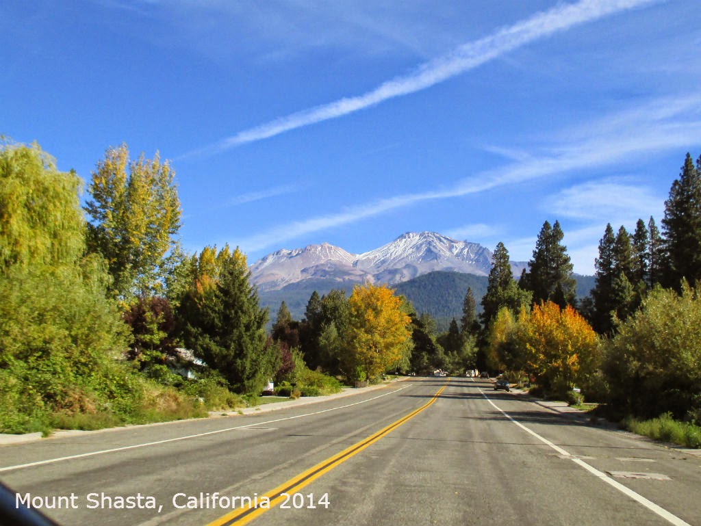 Photos of a Bicycle Ride DOWN Mount Shasta in CA - gvan42