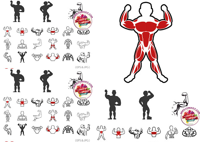 Download Images Vector Icon fitness, muscular male bodybuilder