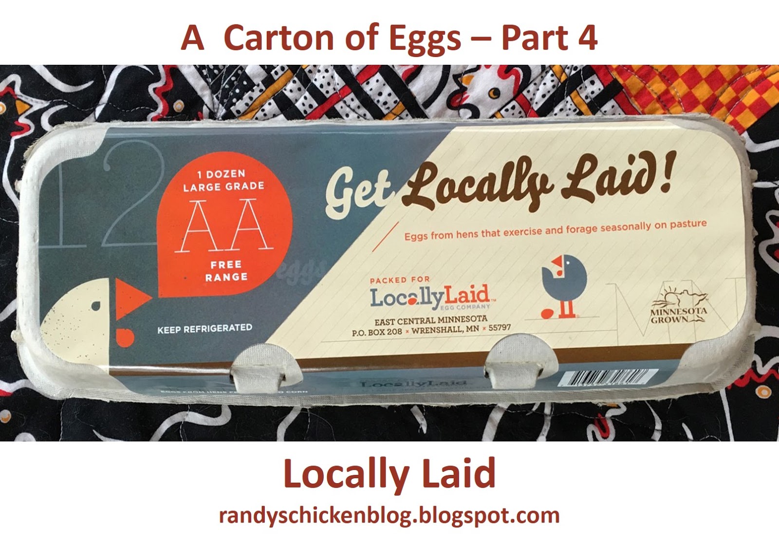 Large & Extra Large Eggs (dozen) - BP Farms