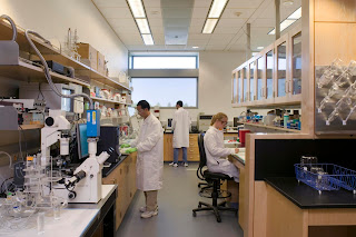 Career In Chemical Engineering Career In Chemical Engineering