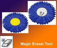 Magic Eraser Tool