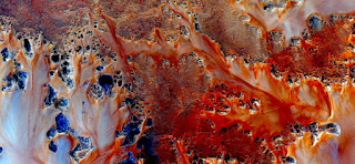 Reds Stone plant fantasy,Abstract Naturalism,abstract photography deserts of Africa from the air,abstract surrealism,mirage in desert,fantasy forms and colors in the desert,flowers, leaves,roots Reds Stone plant fantasy,Abstract Naturalism,abstract photography deserts of Africa from the air,abstract surrealism,mirage in desert,fantasy forms and colors in the desert,flowers, leaves,roots