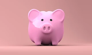 pink piggy bank front facing camera