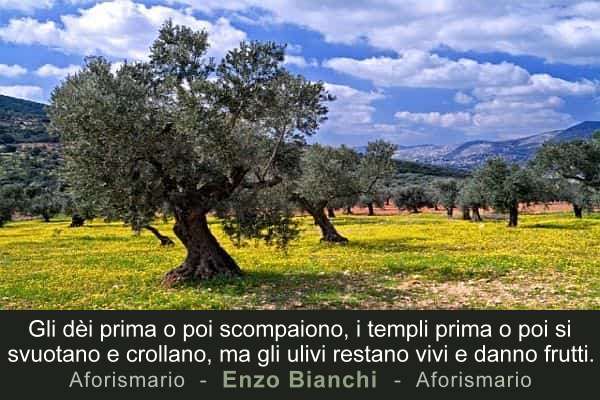 Aforismario Aforismi Frasi E Citazioni Sull Ulivo