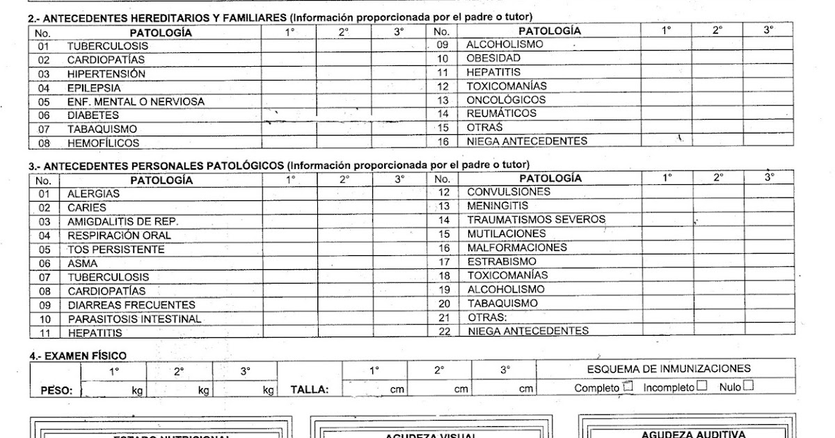 formato de certificado medico escolar enp no 8 quot miguel e schulz quot educaci 243 n f 237 formato de certificado medico escolar enp no 8 quot miguel e schulz quot educaci 243 n f 237