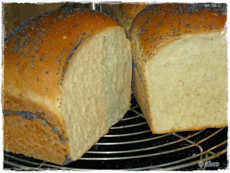 Kochen....meine Leidenschaft : Weißbrot locker und knusprig