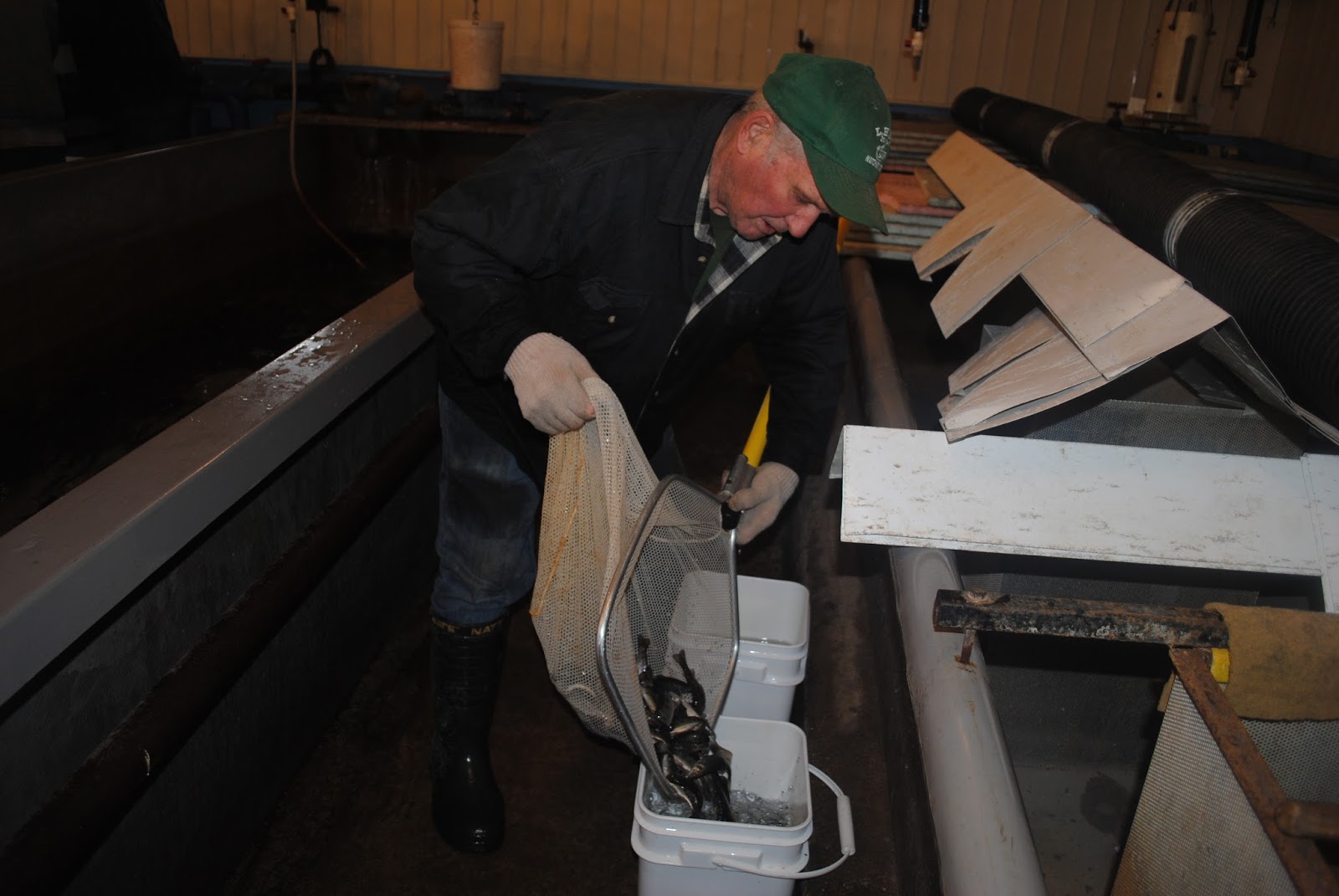 Lake Huron Fishing Club School Salmon Hatcheries and Events Lake Huron