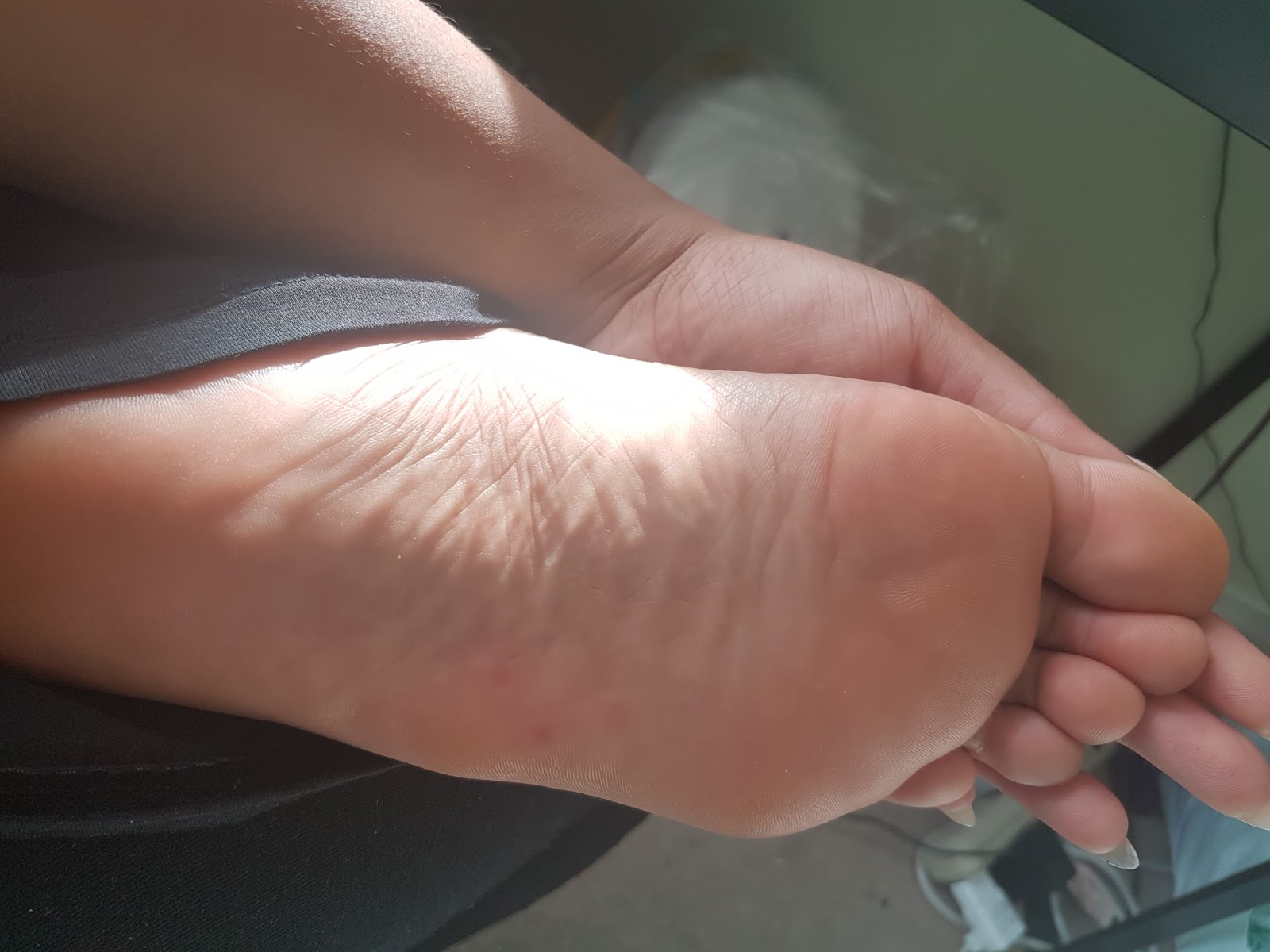 orlando disneyworld gay cum gay swallowing teacher