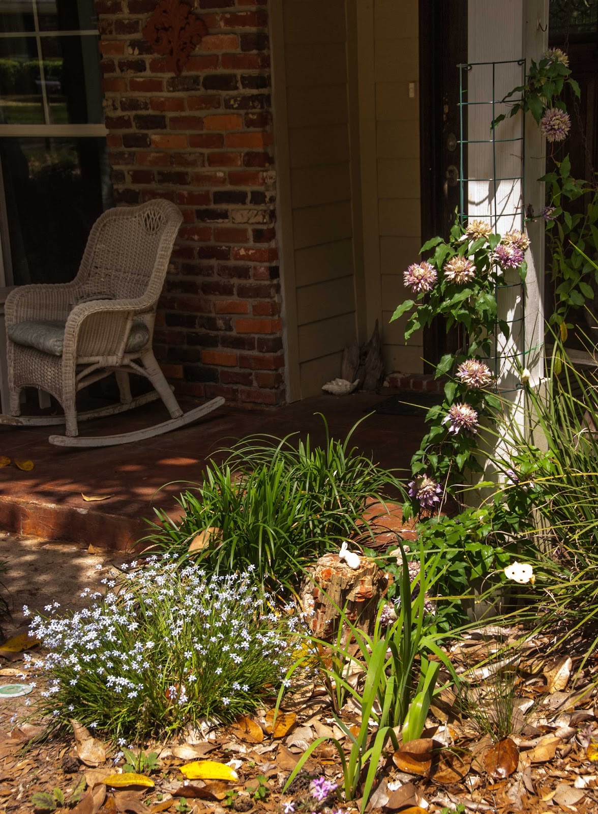 A plant sluts garden blog Free hidden cam voyeur photos