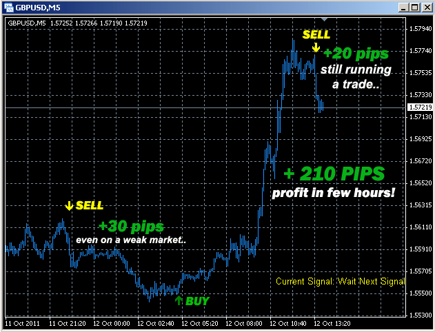 New forex